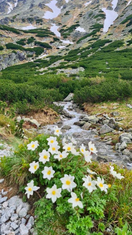 Tatry Ela Big Apartment Štrbské Pleso Esterno foto